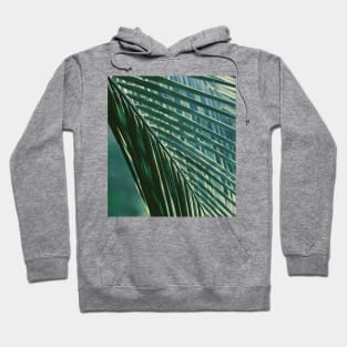 Tropical Palm Tree Leaf Hoodie